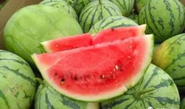 免费吃瓜去哪里,揭秘各大热门平台瓜分福利攻略