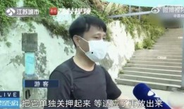 网红霸凌吃瓜男主是谁,揭秘“吃瓜男主”背后的真相